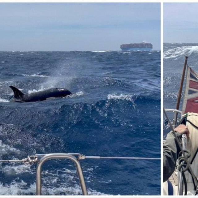 Napadi kitova ubojica kod Gibraltara