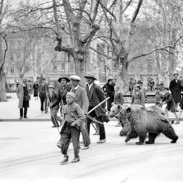 &lt;p&gt;Trgovci dolaze na sajmište s medvjedima u razdoblju između dva svjetska rata&lt;/p&gt;