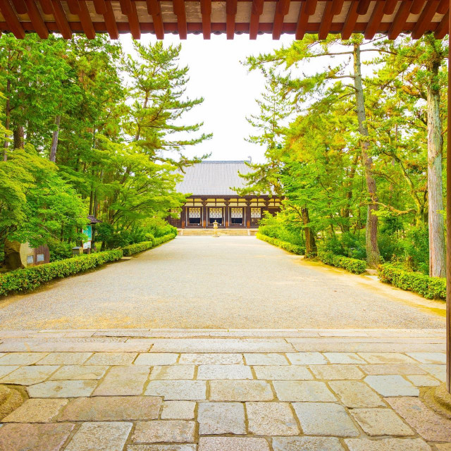 Stupovi na ulazu u hram Toshodaiji