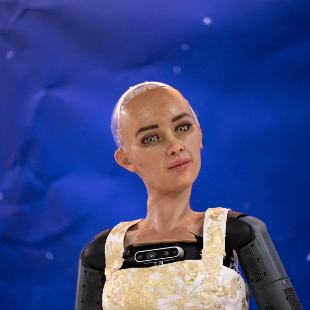 &lt;p&gt;Robot Sophia&lt;/p&gt;