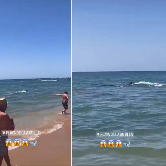 Peraja u moru u Španjolskoj uznemirila je kupače