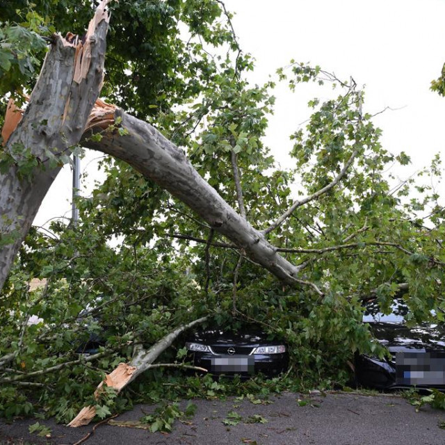 &lt;p&gt;U Zagrebu se jučer srušilo oko 1000 stabala&lt;/p&gt;