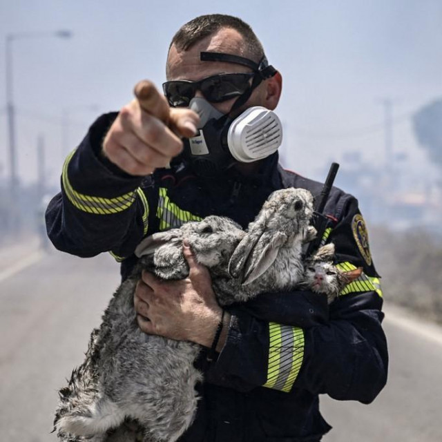 Grčki vatrogasac sa životinjicama koje je spasio iz požara