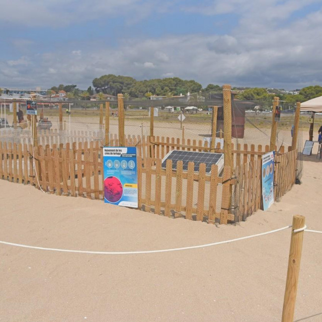 Ilustracija s plaže u Španjolskoj, gdje se također štite dijelovi plaže na kojima kornjače polažu jaja