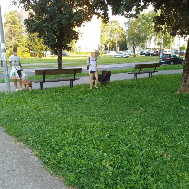 Gabrijela Š. i njen dečko u šetnji sa psima
