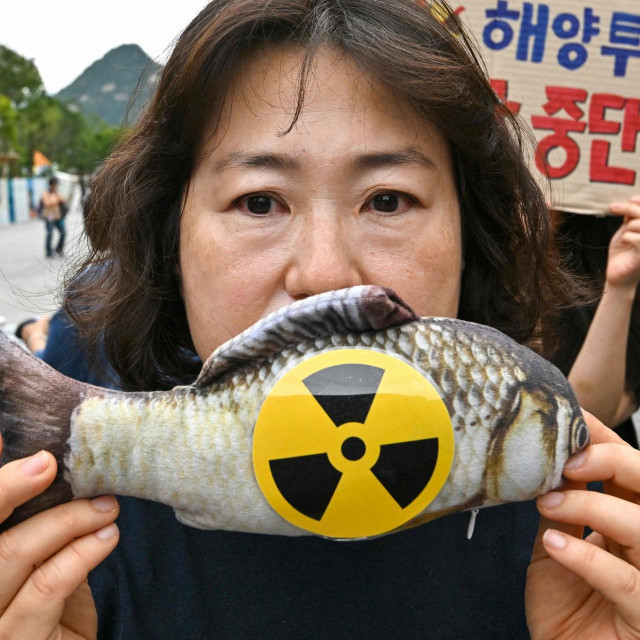 Prosvjednici u Koreji