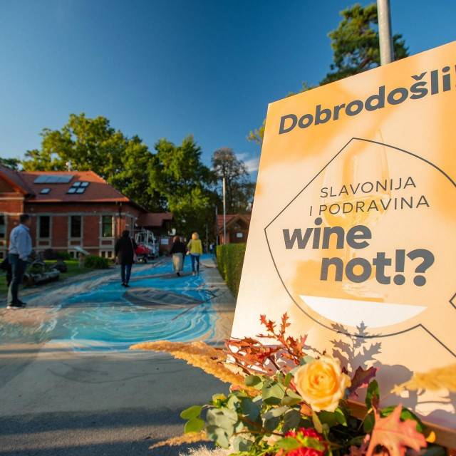 &lt;p&gt;Vinski festival Slavonija i Podravina, wine not!?&lt;/p&gt;