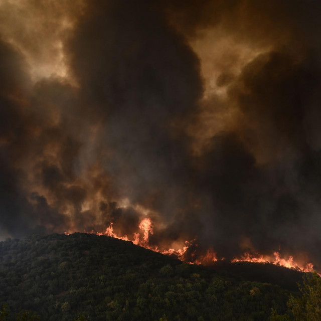 Prizor požara u Grčkoj koji je bjesnio prošloga tjedna
