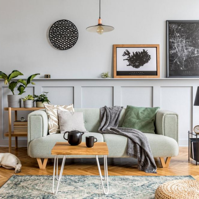 &lt;p&gt;Stylish interior design of living room with modern mint sofa, wooden console, coffee table, lamp, plant, mock up poster frame, pillows, plaid, decoration and beautiful dog lying on the floor.&lt;/p&gt;
