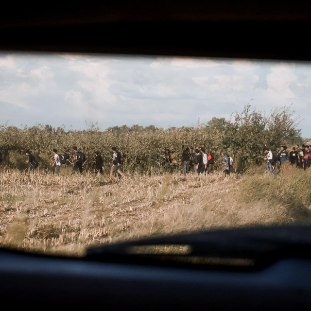 &lt;p&gt;Migranti na granici Mađarske i Srbije&lt;/p&gt;