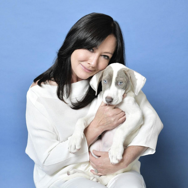 &lt;p&gt;BEVERLY HILLS, CALIFORNIA - OCTOBER 05: Shannen Doherty poses for a portrait in the Getty Images &amp; People Magazine Portrait Studio at Hallmark Channel and American Humanes 2019 Hero Dog Awards at the Beverly Hilton on October 05, 2019 in Beverly Hills, California. Neilson Barnard,Image: 475811312, License: Rights-managed, Restrictions:, Model Release: no, Credit line: Neilson Barnard/Getty images/Profimedia&lt;/p&gt;
