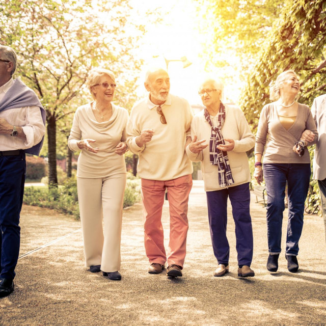 &lt;p&gt;Group of old people walking outdoor. Old friends walking in a park during a sunny day&lt;/p&gt;