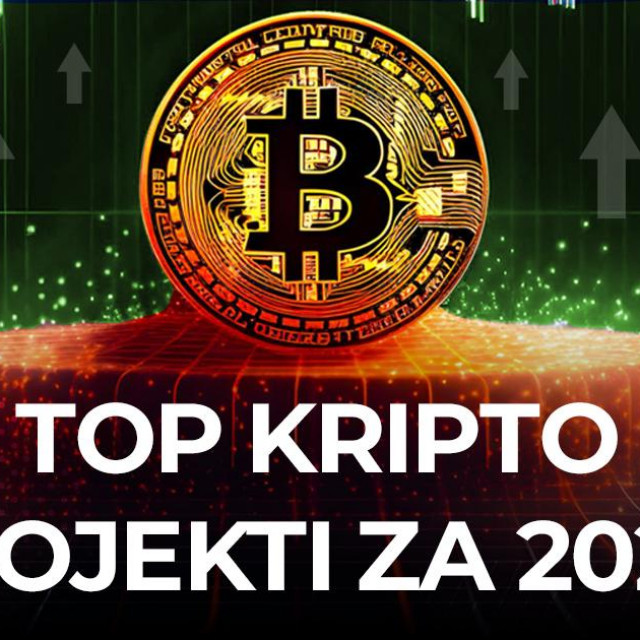 Koje kriptovalute kupiti 2024.? Kriptovalute u rastu. Cijena Bitcoina protiv rekorda u 2024.