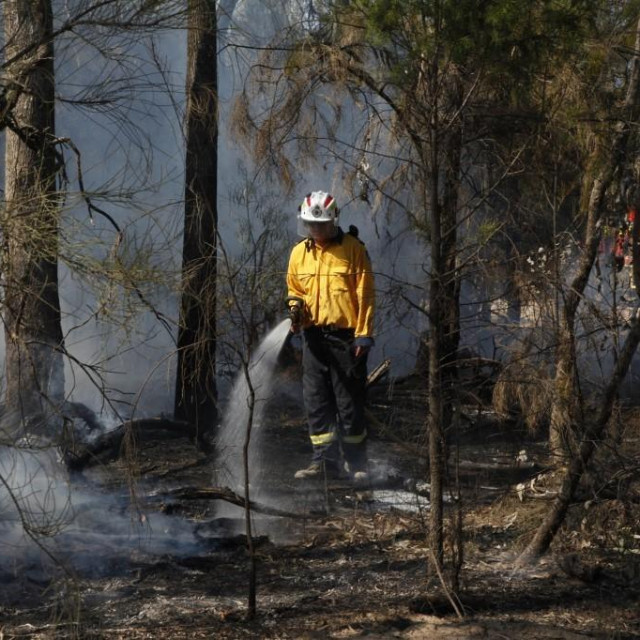 &lt;p&gt;Vatrogasaci su se ranije ovoga mjeseca borili s neobuzdanim šumskim požarom u blizini Pertha&lt;/p&gt;