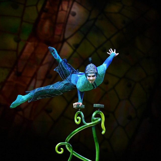 Akrobat, Cirque du Soleil