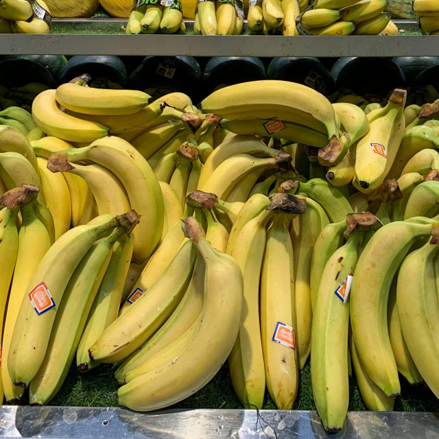 &lt;p&gt;Banane su mnogima omiljeno voće&lt;/p&gt;