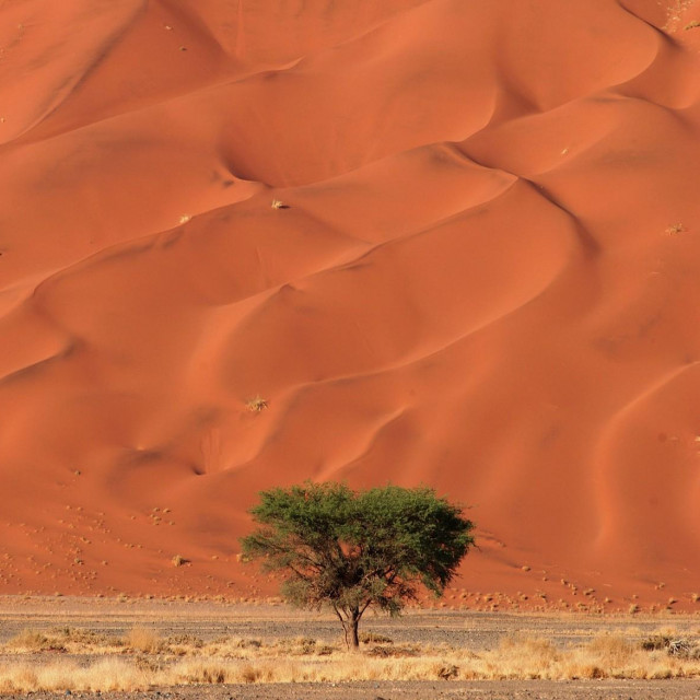 Dine u Namibiji (ilustrativna fotografija)