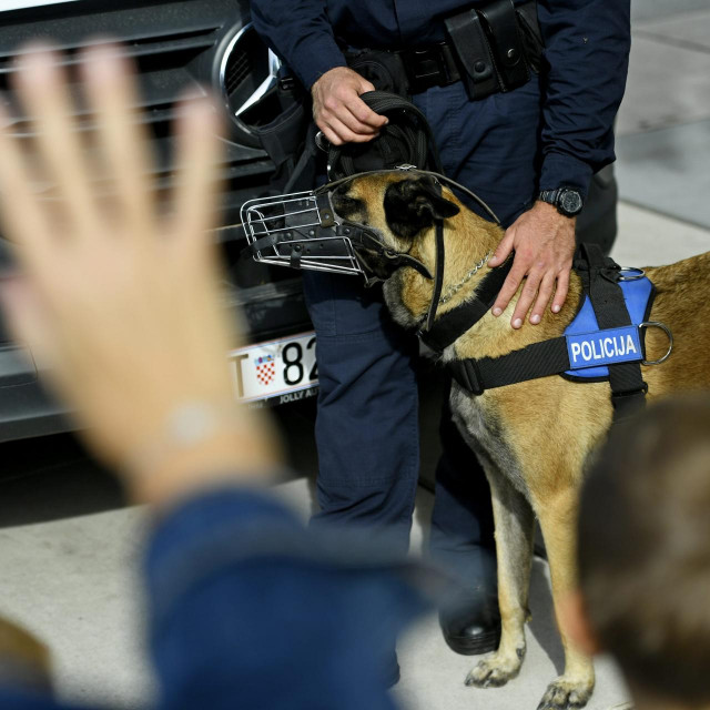 Policijski pas, ilustrativna fotografija


 