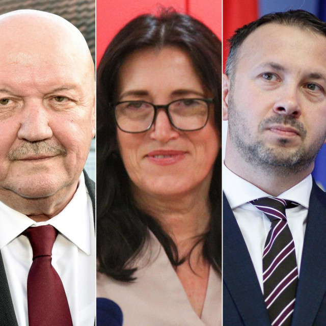 Danko Velimir Vrdoljak, Marijan Mareković, Tanja Djaković, Alen Čičak i Boris Lalovac