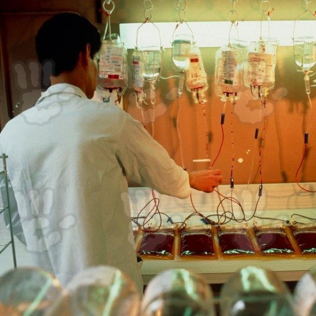 Znanstvenik priprema krv za krioprezervaciju, ilustracija
