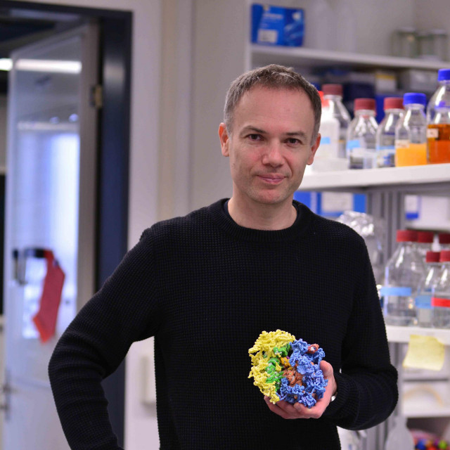 Nenad Ban, redoviti profesor strukturalne molekularne biologije na Švicarskom federalnom tehnološkom institutu (ETH) u Zurichu