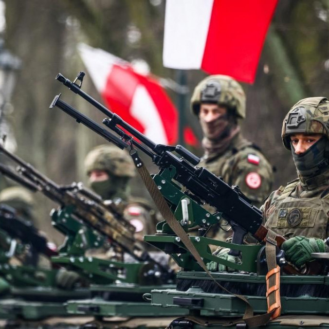 Poljski vojnici