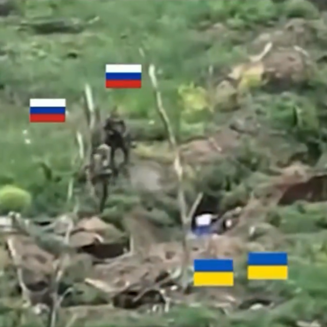 Navodna egzekucija ukrajinskih vojnika