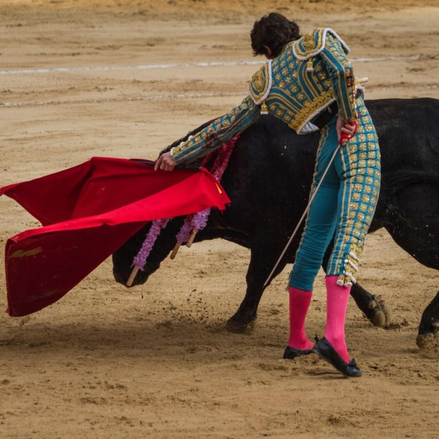 Borba s bikovima u Bogoti; ilustracija