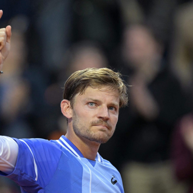 David Goffin