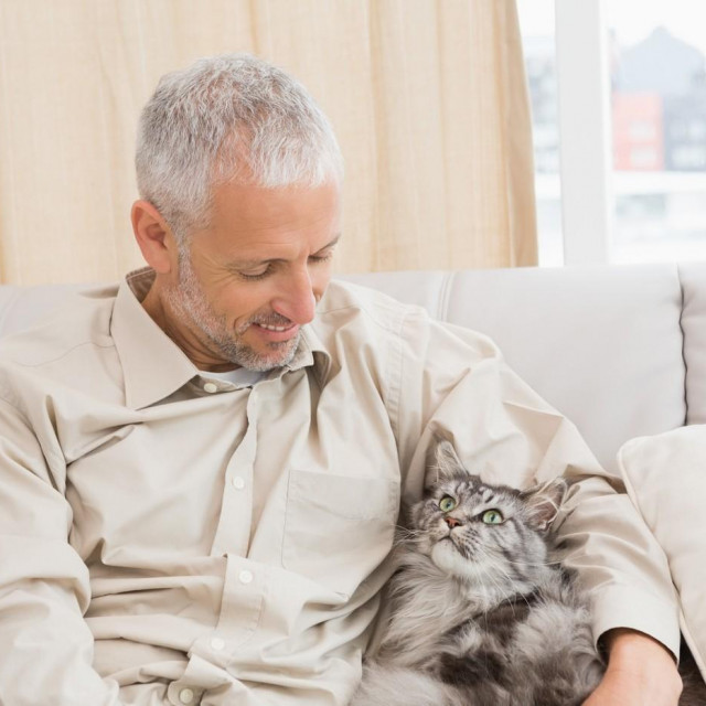 Happy man with his pet cat on sofa at home in the living room,Image: 20700