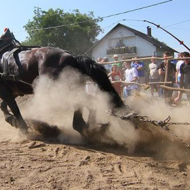 Štraparijada