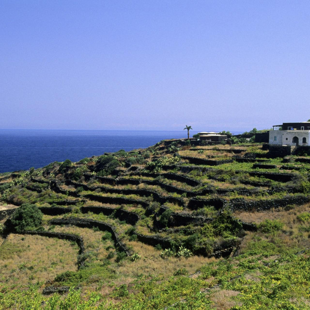 Otok Pantelleria