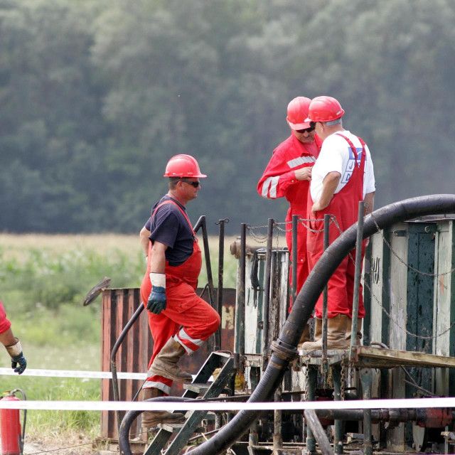 Predstavljanje istraživackog projekta Hrastilinica na polju Žutnica

 