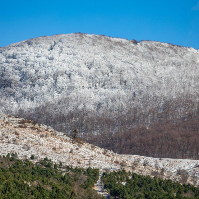 Platak/Arhivska fotografija