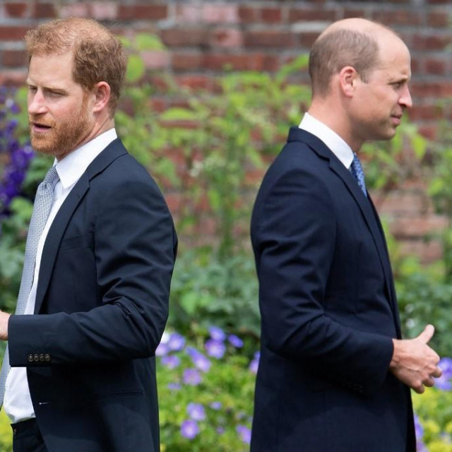 Prinčevi Harry i William