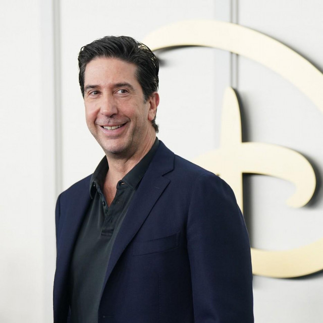 David Schwimmer