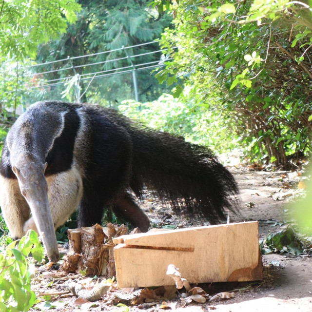 ZOO Zagreb