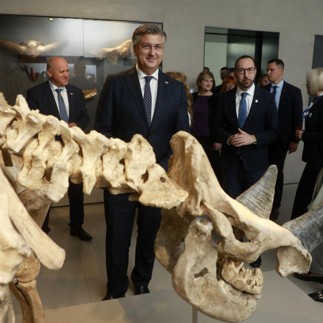 Branko Bačić, Andrej Plenković, Tomislav Tomasević, Nina Obuljen Koržinek