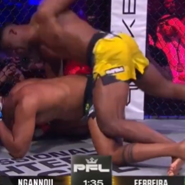 Francis Ngannou vs. Renan Ferreira