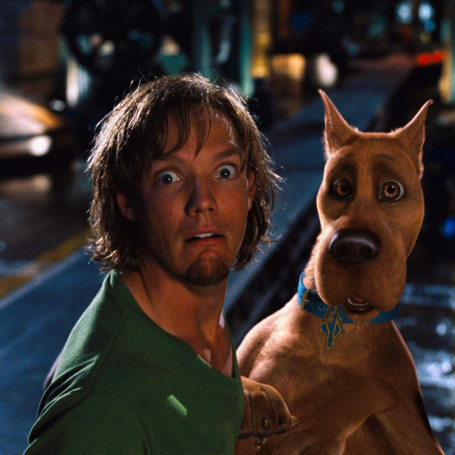 Isječak iz filma Scooby-Doo

Matthew Lillard