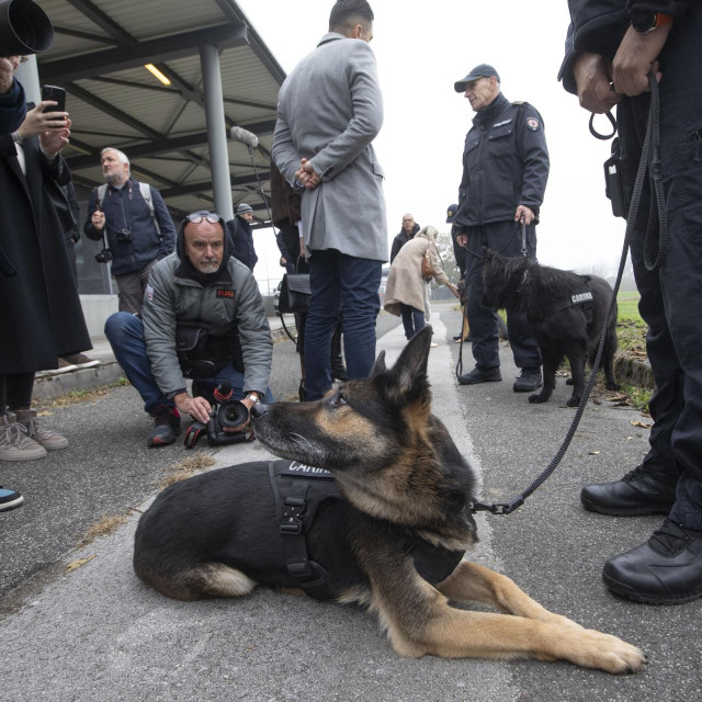 Carinici i psi tragači