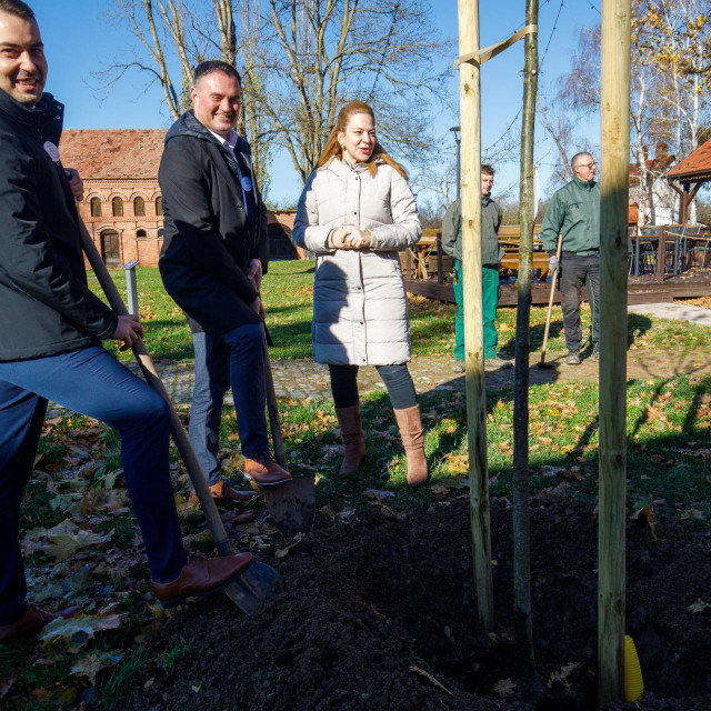 Katarina Alduk, Miodrag Streitenberger i Marin Dolenec