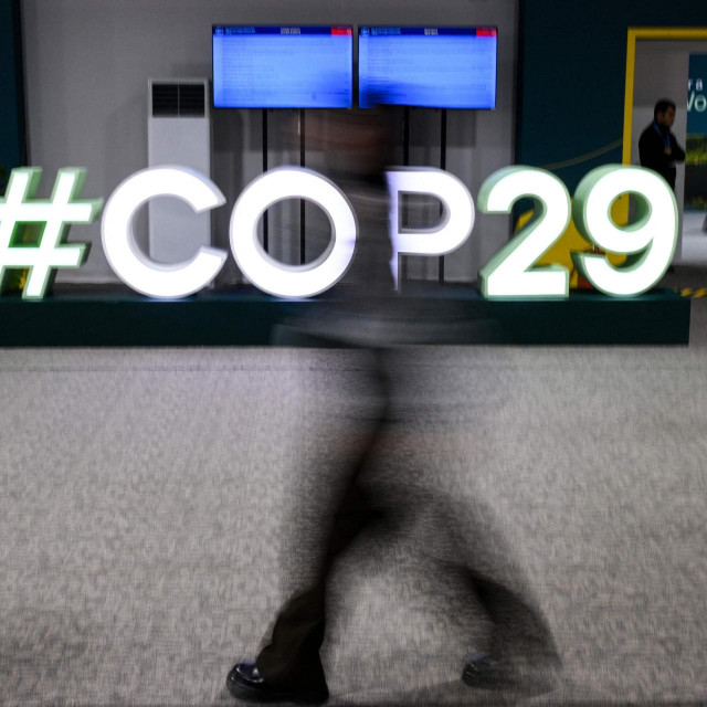 COP29 logo