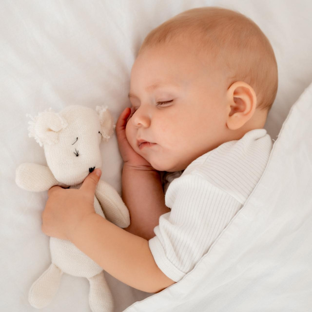 a newborn baby sleeps sweetly holding a toy in his hands, a place for text, a baby sleeps on a white bed under a blanket with a pen under his cheek, a healthy baby‘s sleep.