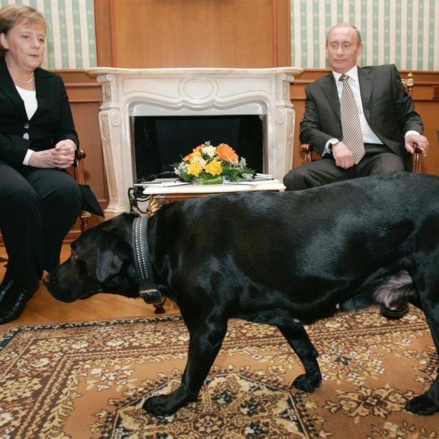 Angela Merkel i Vladimir Putin