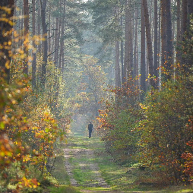 Bajkoviti krajolik u blizini Wandlitza