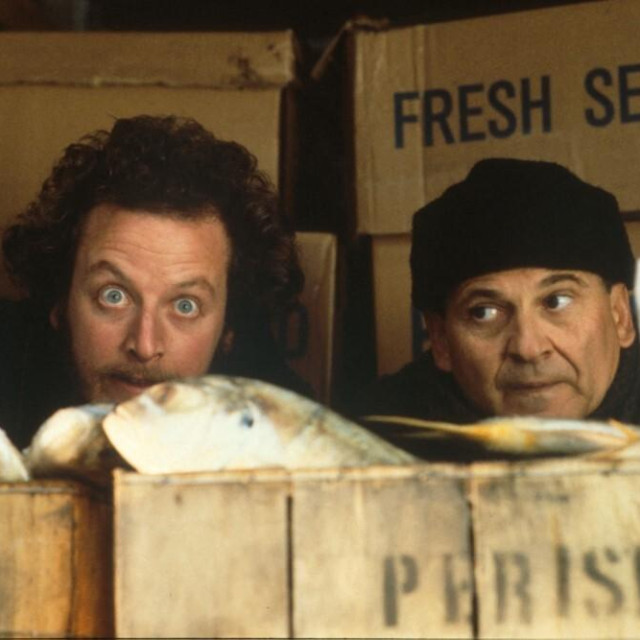 Joe Pesci i Daniel Stern