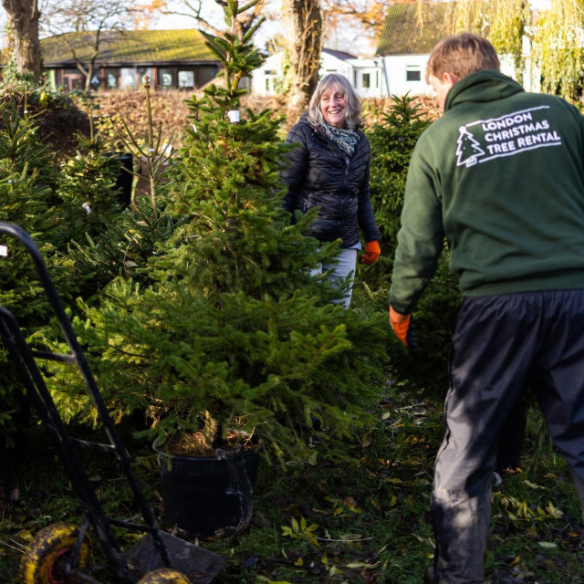 Jonathan Mearns, direktor tvrtke London Christmas Tree Rental, pomaže klijentici pronaći drvce od prošle godine