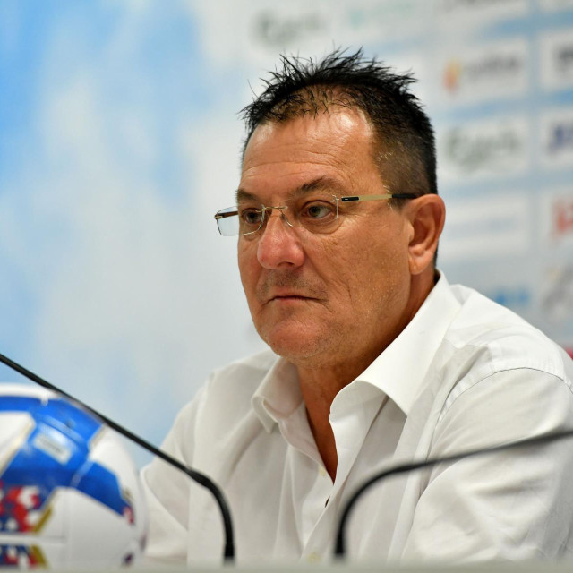 Damir Mišković