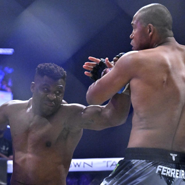 Francis Ngannou vs Renan Ferreira